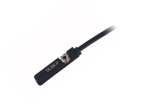 Dlsj Clsj Clsg Clse Clsk Dlse pneumatic Cylinder Sensor Reed Switch